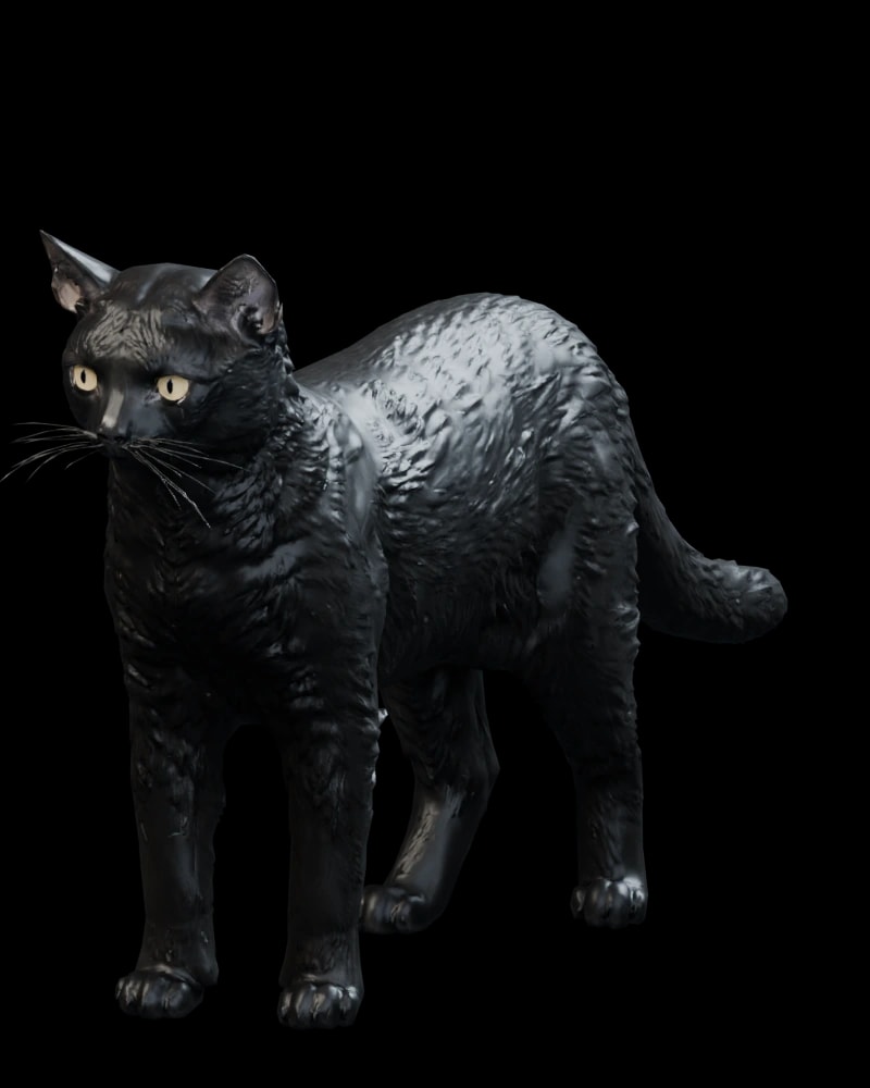Kara Kedi
